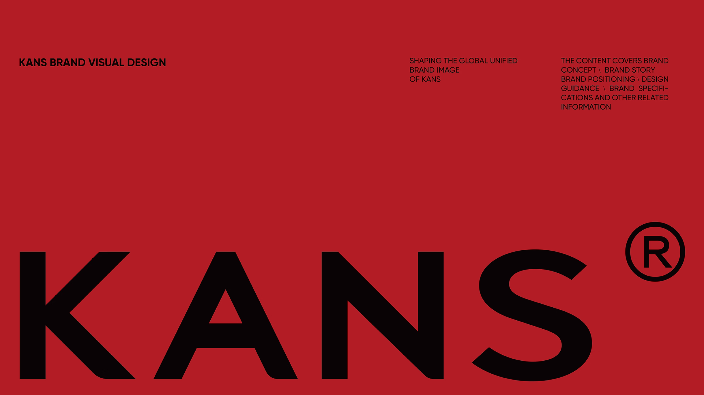 KANS project image 1