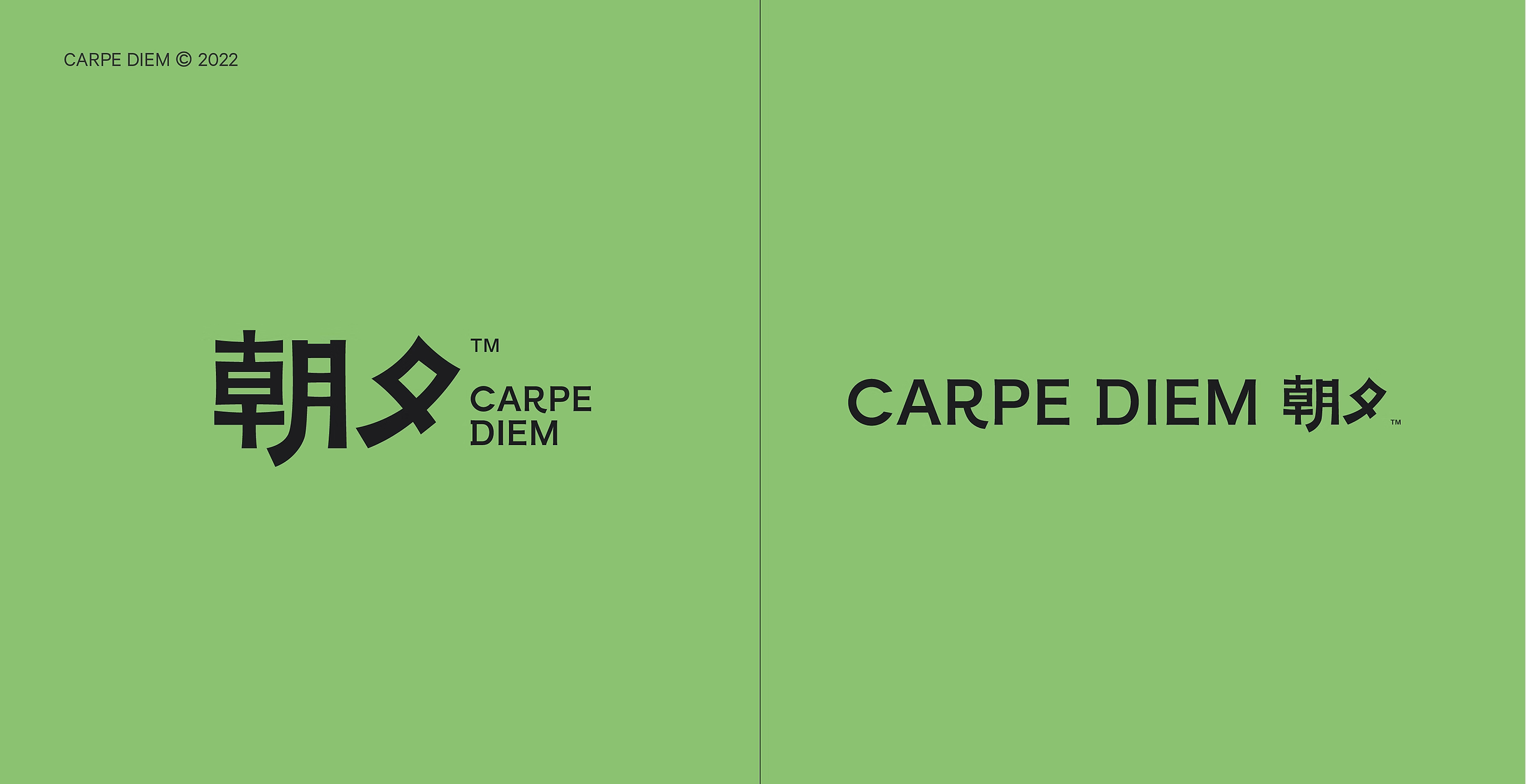 CARPE DIEM project image 5