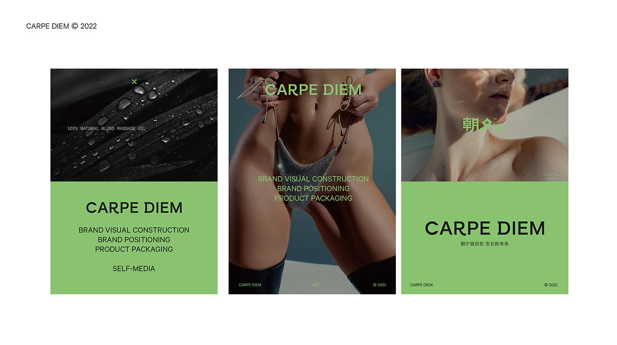 CARPE DIEM project image 9